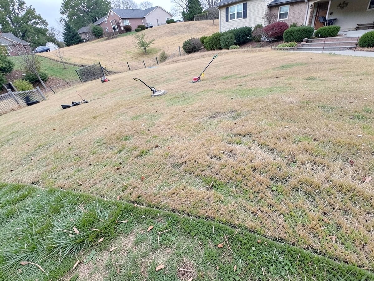 FAQ – Sample Lawn Care Co
