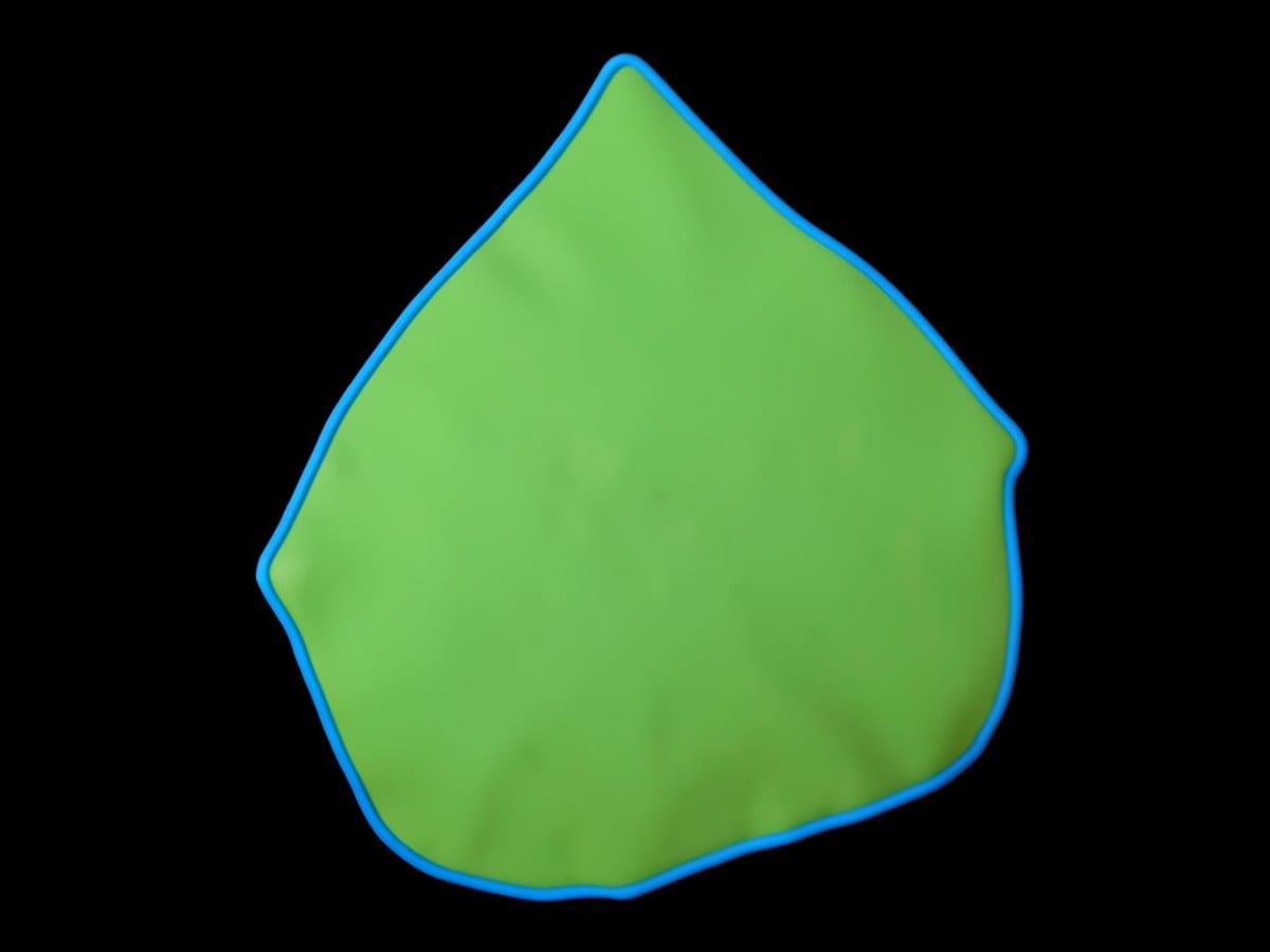 green amorphous shape with a pointed top and smooth sides and corners is outlined in blue against a black background.